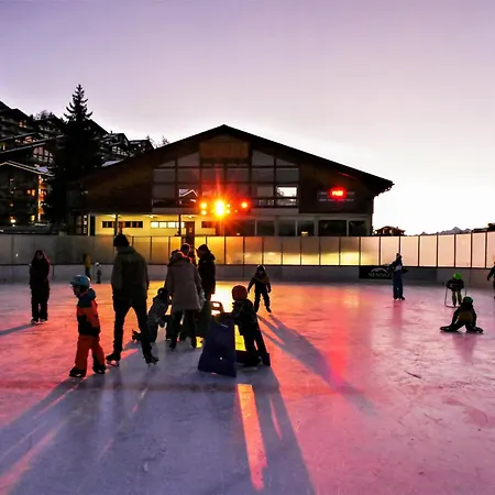 Petit Nid Au Chaedoz - Nendaz, 4 Vallees 公寓 南达