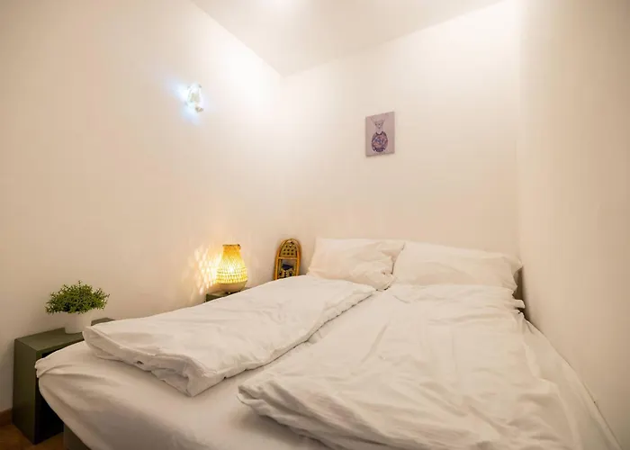 Petit Nid Au Chaedoz - Nendaz, 4 Vallees 公寓