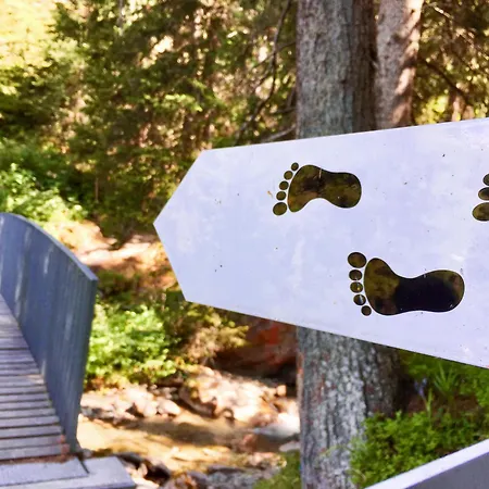 Appartamento Petit Nid Au Chaedoz - Nendaz, 4 Vallées *