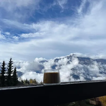 Apartamento Petit Nid Au Chaedoz - Nendaz, 4 Vallées